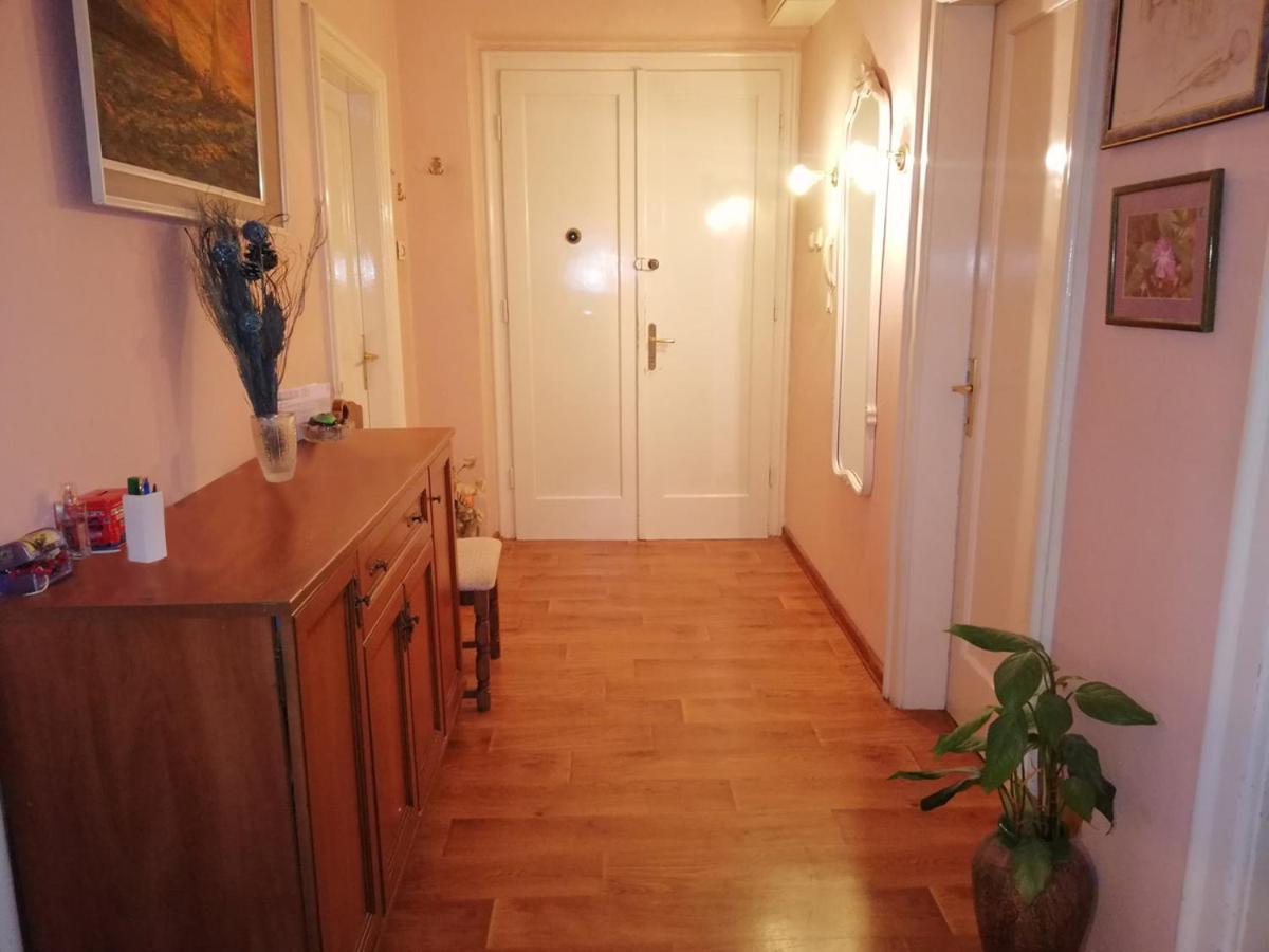 Apartment Mahonia Split Kültér fotó